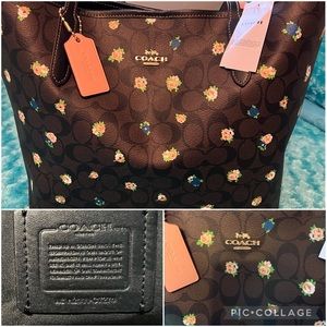 Coach Handbags